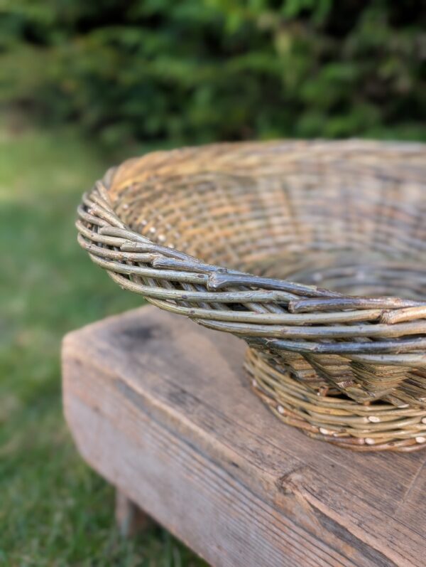 Fruit Bowl - Am Meas - Image 4