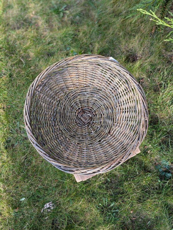 Fruit Bowl - Am Meas - Image 3